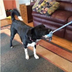 Pet Fit For Life Plush Wand Squeaky Dog Toy 12 Pet Fit For Life Plush Wand Squeaky Dog Toy -Snuggle Paws 140063 PT4. AC SS1800 V1589320914