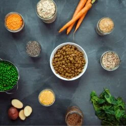 V-Dog Kind Kibble Mini Bites Vegan Adult Dry Dog Food 11 V-Dog Kind Kibble Mini Bites Vegan Adult Dry Dog Food -Snuggle Paws 140708 PT6. AC SS1800 V1668548200