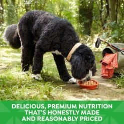 Nature's Recipe Grain-Free Chicken & Duck Recipe In Broth Wet Dog Food -Snuggle Paws 140961 PT4. AC SS1800 V1683305580