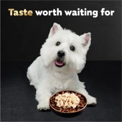 Cesar Simply Crafted Chicken Limited-Ingredient Wet Dog Food Topper -Snuggle Paws 141019 PT3. AC SS1800 V1695666299