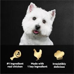 Cesar Simply Crafted Chicken Limited-Ingredient Wet Dog Food Topper -Snuggle Paws 141019 PT7. AC SS1800 V1695750310