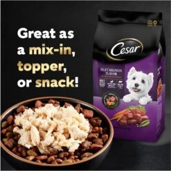 Cesar Simply Crafted Chicken Limited-Ingredient Wet Dog Food Topper -Snuggle Paws 141019 PT8. AC SS1800 V1695674515