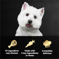 Cesar Simply Crafted Chicken, Carrots, Barley & Spinach Limited-Ingredient Adult Wet Dog Food Topper -Snuggle Paws 141024 PT7. AC SS1800 V1695752273