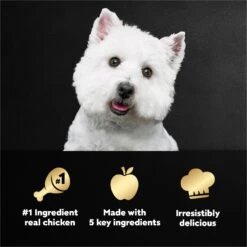 Cesar Simply Crafted Chicken, Sweet Potato, Apple, Barley & Spinach Limited-Ingredient Adult Wet Dog Food Topper -Snuggle Paws 141030 PT7. AC SS1800 V1695738951