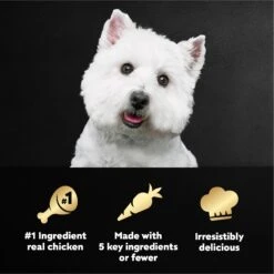 Cesar Simply Crafted Variety Pack Chicken, Carrots, Potatoes & Peas & Chicken, Sweet Potato, Apple, Barley & Spinach Limited-Ingredient Wet Dog Food Topper -Snuggle Paws 141035 PT7. AC SS1800 V1695666359