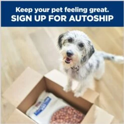 Hill's Prescription Diet I/d Digestive Care Small Bites Chicken Flavor Dry Adult & Puppy Dog Food -Snuggle Paws 141044 PT6. AC SS1800 V1687982888