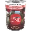 Purina ONE SmartBlend True Instinct Tender Cuts In Gravy With Real Beef & Wild-Caught Salmon Canned Dog Food -Snuggle Paws 141241 MAIN. AC SS1800 V1671734364