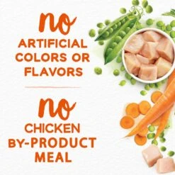 Purina Beneful Simple Goodness With Farm-Raised Chicken Dry Dog Food 15 Purina Beneful Simple Goodness With Farm-Raised Chicken Dry Dog Food -Snuggle Paws 141252 PT4. AC SS1800 V1695743595