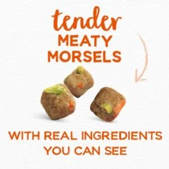 Purina Beneful Simple Goodness With Farm-Raised Beef Dry Dog Food -Snuggle Paws 141256 PT3. AC SS1800 V1695744326