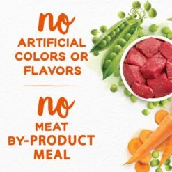 Purina Beneful Simple Goodness With Farm-Raised Beef Dry Dog Food -Snuggle Paws 141256 PT6. AC SS1800 V1695736093