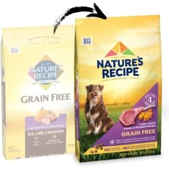Nature's Recipe Grain-Free Lamb, Sweet Potato & Pumpkin Recipe Dry Dog Food 12 Nature's Recipe Grain-Free Lamb, Sweet Potato & Pumpkin Recipe Dry Dog Food -Snuggle Paws 142290 PT1. AC SS1800 V1672842440