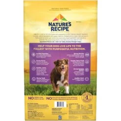 Nature's Recipe Grain-Free Lamb, Sweet Potato & Pumpkin Recipe Dry Dog Food 13 Nature's Recipe Grain-Free Lamb, Sweet Potato & Pumpkin Recipe Dry Dog Food -Snuggle Paws 142290 PT2. AC SS1800 V1672842507
