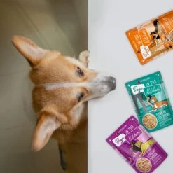 Weruva Dogs In The Kitchen Pooch Pouch Party! Variety Pack Grain-Free Dog Food Pouches 19 Weruva Dogs In The Kitchen Pooch Pouch Party! Variety Pack Grain-Free Dog Food Pouches -Snuggle Paws 142343 PT8. AC SS1800 V1701362268