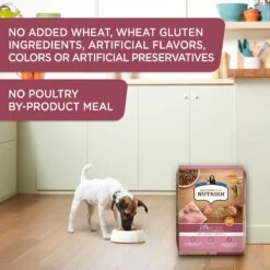 Rachael Ray Nutrish Little Bites Small Breed Real Chicken & Veggies Recipe Dry Dog Food -Snuggle Paws 142436 PT5. AC SS1800 V1657655543