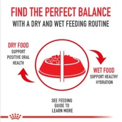 Royal Canin Breed Health Nutrition Shih Tzu Adult Loaf In Sauce Canned Dog Food -Snuggle Paws 142487 PT5. AC SS1800 V1696534944