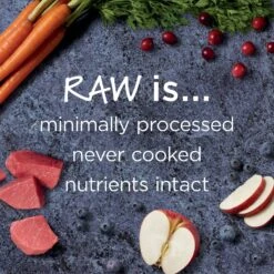 Instinct Raw Boost Small Breed Grain-Free Recipe With Real Beef & Freeze-Dried Raw Pieces Dry Dog Food 12 Instinct Raw Boost Small Breed Grain-Free Recipe With Real Beef & Freeze-Dried Raw Pieces Dry Dog Food -Snuggle Paws 143155 PT3. AC SS1800 V1548802374