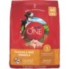 Purina ONE Natural SmartBlend Chicken & Rice Formula Dry Dog Food -Snuggle Paws 143259 MAIN. AC SS1800 V1676050816