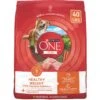 Purina ONE +Plus Adult High-Protein Healthy Weight Formula Dry Dog Food -Snuggle Paws 143260 MAIN. AC SS1800 V1676051472