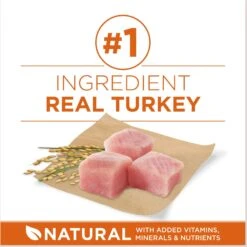 Purina ONE +Plus Adult High-Protein Healthy Weight Formula Dry Dog Food -Snuggle Paws 143260 PT3. AC SS1800 V1676319353