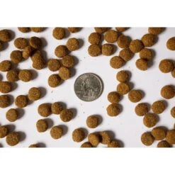 Beaverdam Pet Food Eli's Select 33/16 Grain-Free Dry Dog Food -Snuggle Paws 143508 PT3. AC SS1800 V1520006030