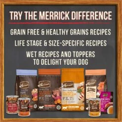 Merrick Grain-Free Wet Puppy Food Puppy Plate Beef Recipe -Snuggle Paws 144744 PT7. AC SS1800 V1644912721