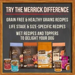 Merrick Grain-Free Wet Dog Food Turducken -Snuggle Paws 144754 PT8. AC SS1800 V1615254121