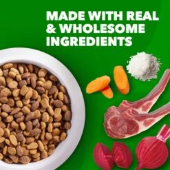 Iams Proactive Health Minichunks Small Kibble With Lamb & Rice Adult Dry Dog Food 14 Iams Proactive Health Minichunks Small Kibble With Lamb & Rice Adult Dry Dog Food -Snuggle Paws 145143 PT3. AC SS1800 V1668024107