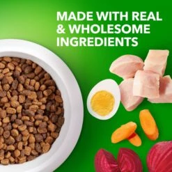 Iams Proactive Health Small & Toy Breed Puppy High Protein DHA Formula With Real Chicken Dry Dog Food 14 Iams Proactive Health Small & Toy Breed Puppy High Protein DHA Formula With Real Chicken Dry Dog Food -Snuggle Paws 145145 PT3. AC SS1800 V1668023610