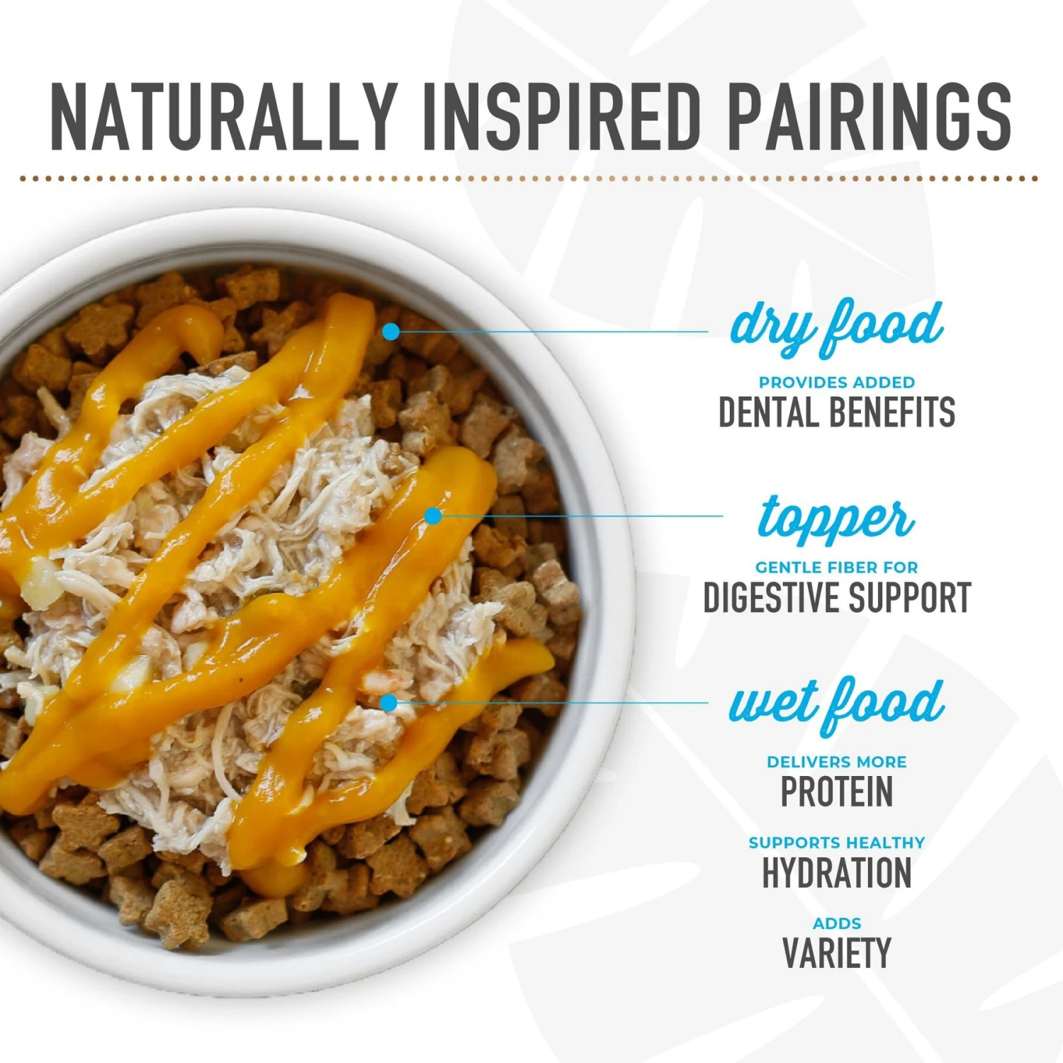 Tiki Dog Born Carnivore Flavor Booster Beef Bisque Non-GMO Wet Dog Food Topper 11 Tiki Dog Born Carnivore Flavor Booster Beef Bisque Non-GMO Wet Dog Food Topper - Image 9