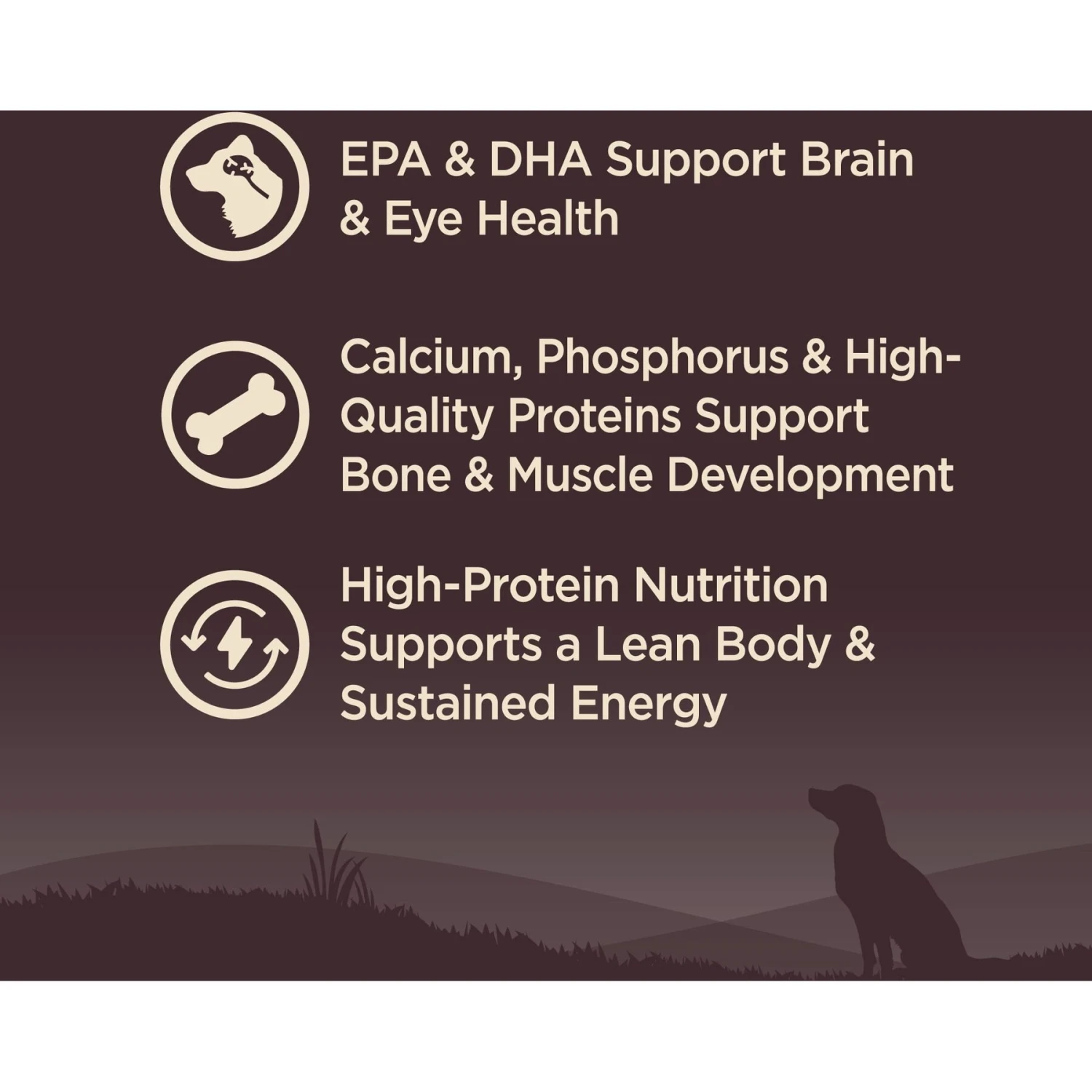 Wellness CORE Grain-Free Small Breed Puppy Deboned Turkey Recipe Dry Dog Food 5 Wellness CORE Grain-Free Small Breed Puppy Deboned Turkey Recipe Dry Dog Food - Image 3