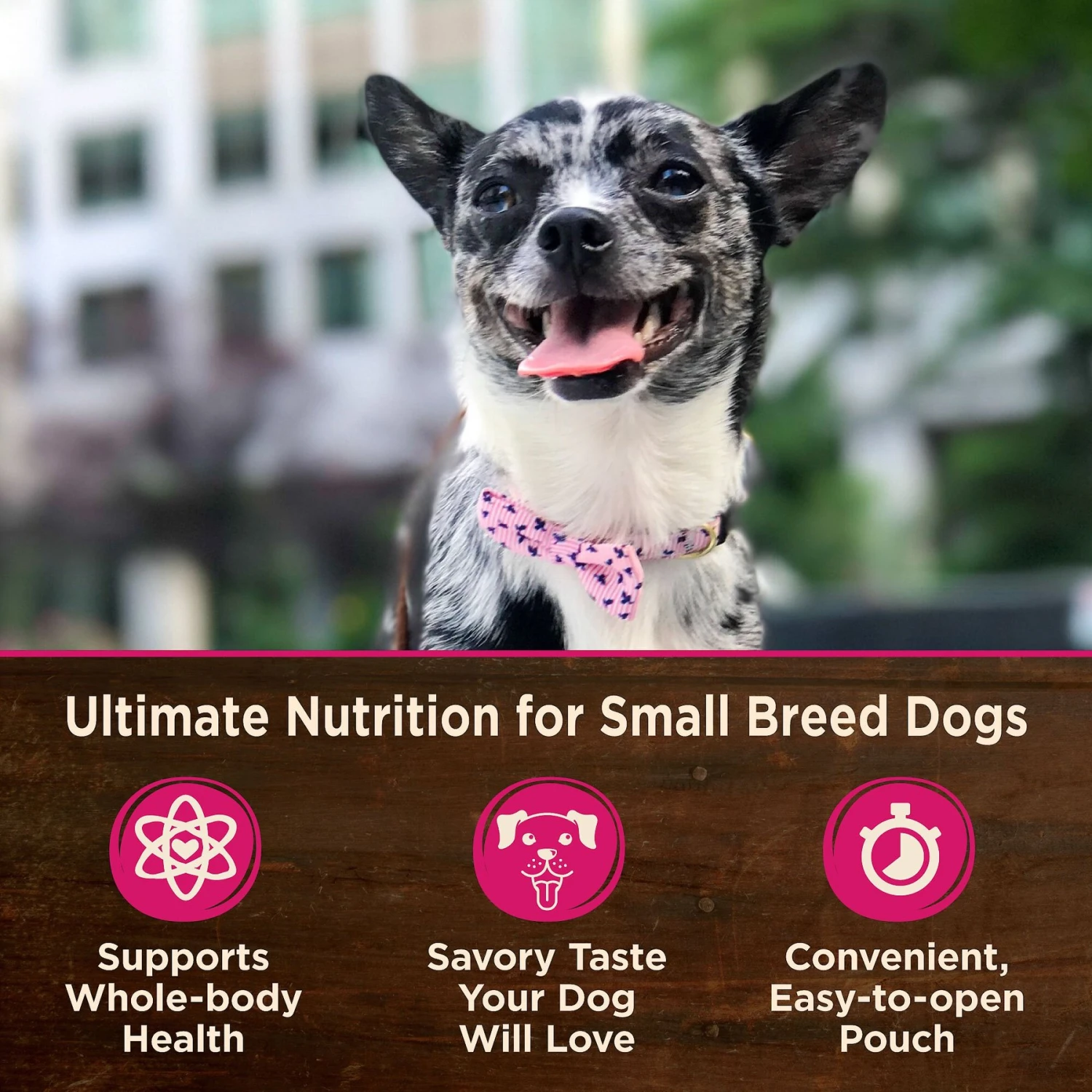 Wellness CORE Grain-Free Small Breed Mini Meals Chunky Chicken & Tuna In Gravy Dog Food Pouches 5 Wellness CORE Grain-Free Small Breed Mini Meals Chunky Chicken & Tuna In Gravy Dog Food Pouches - Image 3