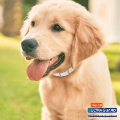Hartz UltraGuard Plus Dog Flea & Tick Collar For Dogs, X-Small & Toy & Small Breeds -Snuggle Paws 145752 PT7. AC SS1800 V1648624894