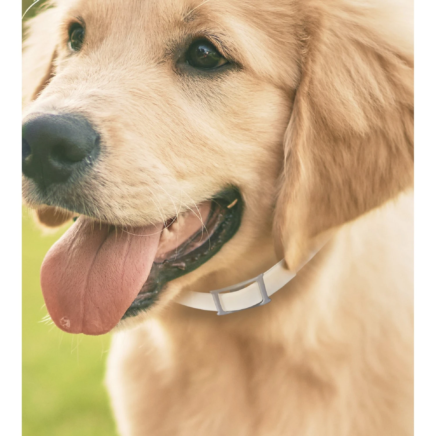 Hartz UltraGuard Pro Reflecting Flea & Tick Collar For Dogs & Puppies 4 Hartz UltraGuard Pro Reflecting Flea & Tick Collar For Dogs & Puppies - Image 2