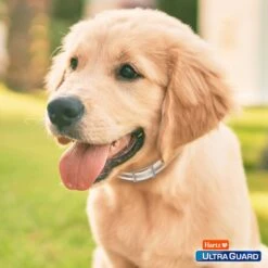 Hartz UltraGuard Pro Reflecting Flea & Tick Collar For Dogs & Puppies 19 Hartz UltraGuard Pro Reflecting Flea & Tick Collar For Dogs & Puppies -Snuggle Paws 145756 PT8. AC SS1800 V1648623987