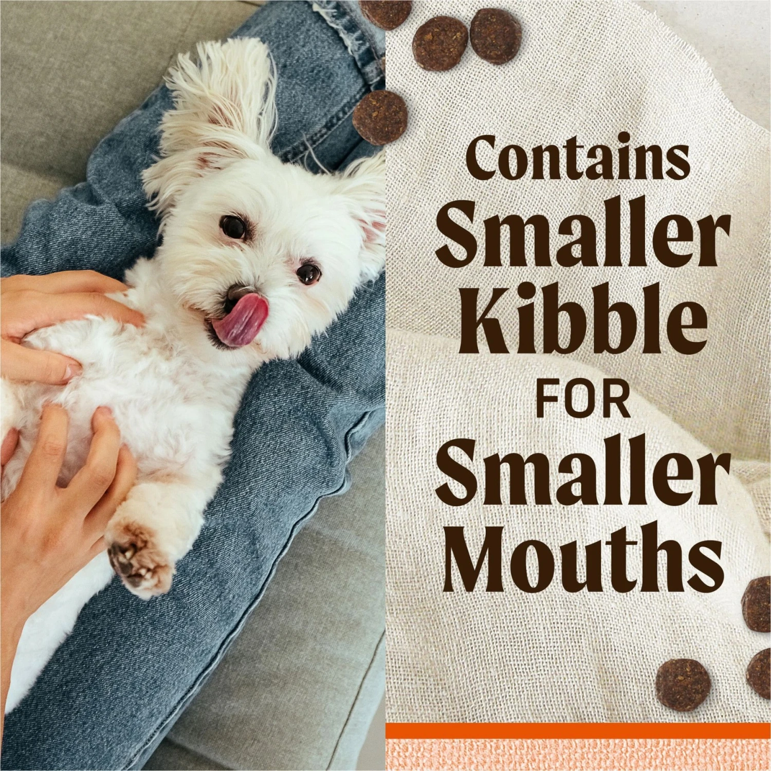 Merrick Lil' Plates Grain-Free Chicken-Free Real Texas Beef + Sweet Potato Recipe Small Breed Dry Dog Food 6 Merrick Lil' Plates Grain-Free Chicken-Free Real Texas Beef + Sweet Potato Recipe Small Breed Dry Dog Food - Image 4