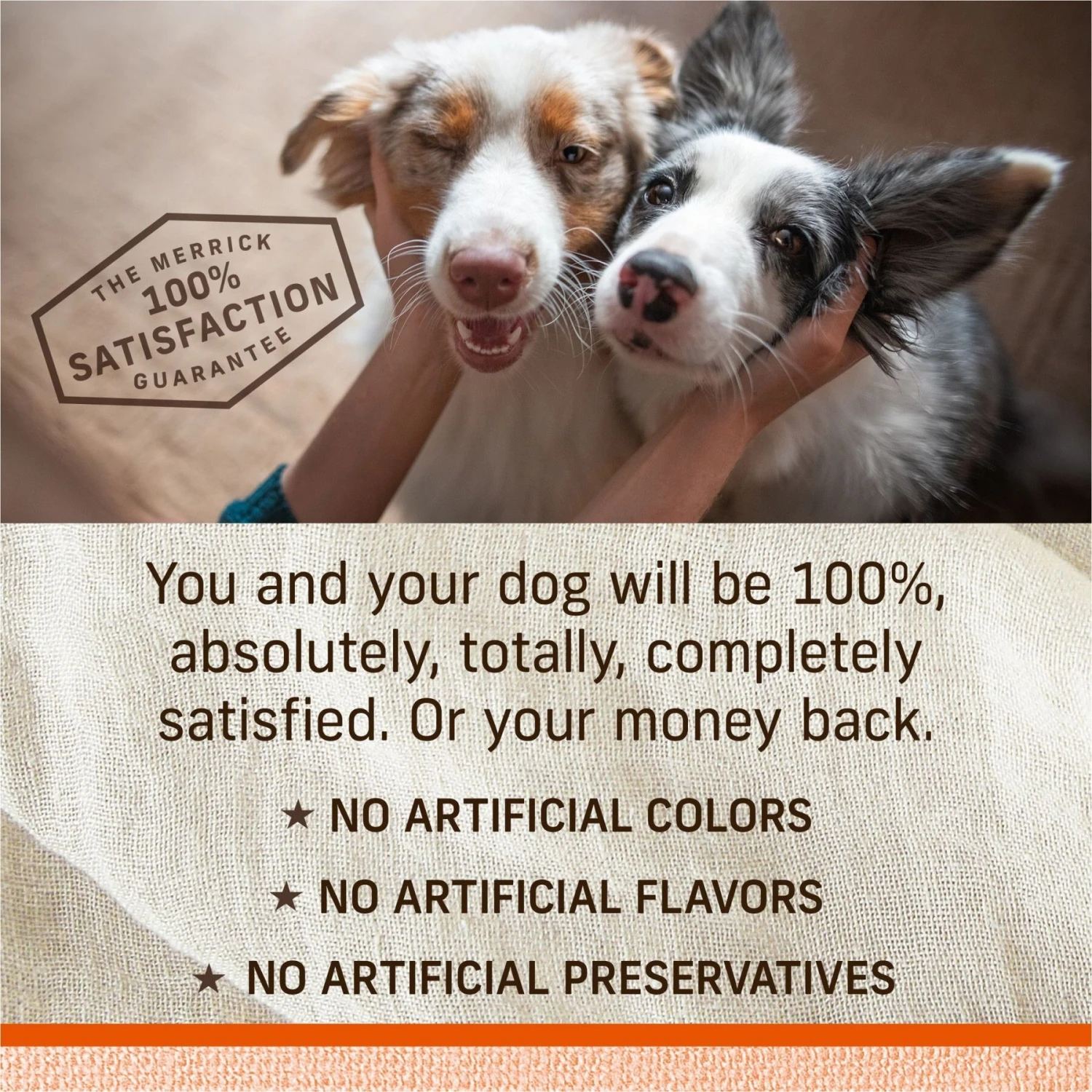 Merrick Lil' Plates Grain-Free Chicken-Free Real Texas Beef + Sweet Potato Recipe Small Breed Dry Dog Food 10 Merrick Lil' Plates Grain-Free Chicken-Free Real Texas Beef + Sweet Potato Recipe Small Breed Dry Dog Food - Image 8