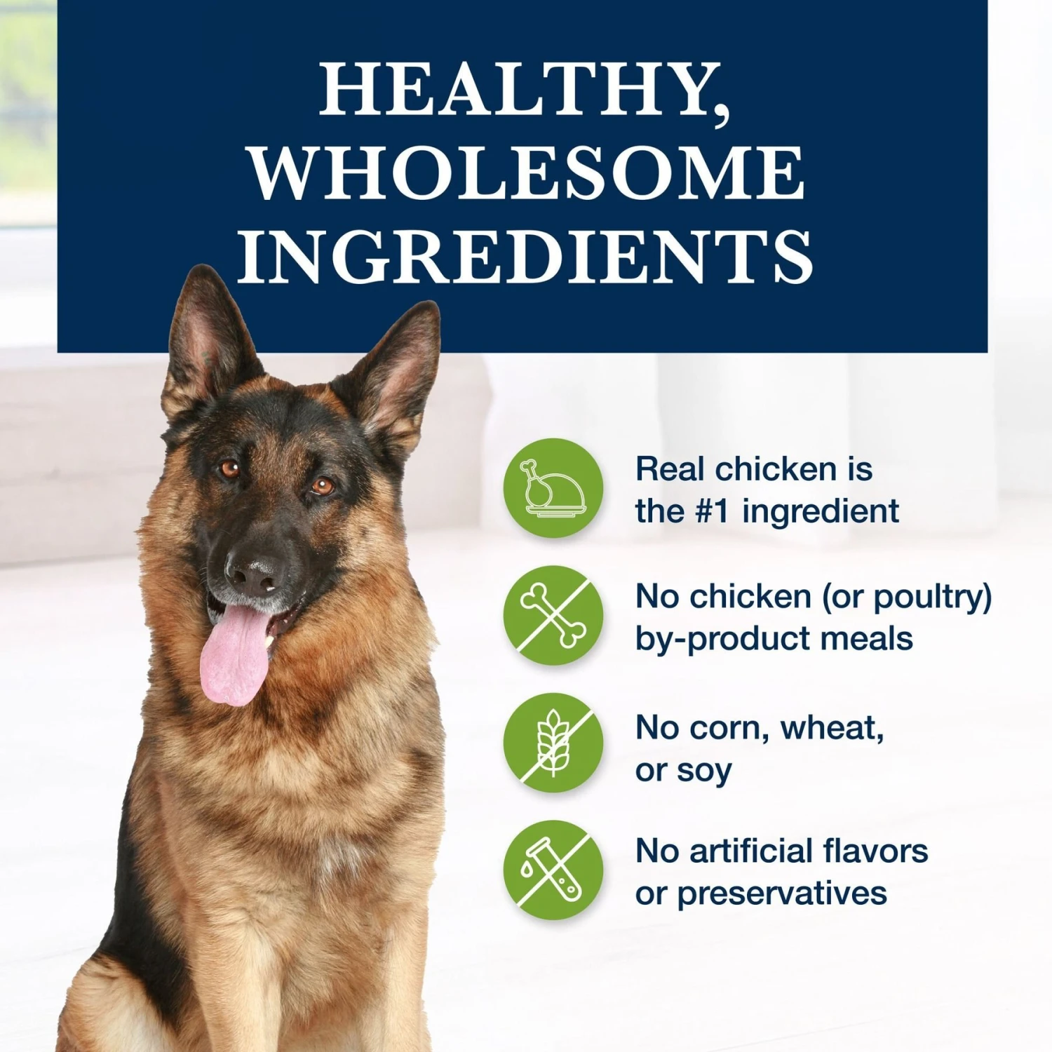 Blue Buffalo Natural Veterinary Diet GI Gastrointestinal Support Dry Dog Food 8 Blue Buffalo Natural Veterinary Diet GI Gastrointestinal Support Dry Dog Food - Image 6
