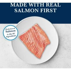 Blue Buffalo Natural Veterinary Diet HF Hydrolyzed For Food Intolerance Grain-Free Dry Dog Food 14 Blue Buffalo Natural Veterinary Diet HF Hydrolyzed For Food Intolerance Grain-Free Dry Dog Food -Snuggle Paws 147671 PT3. AC SS1800 V1695496811