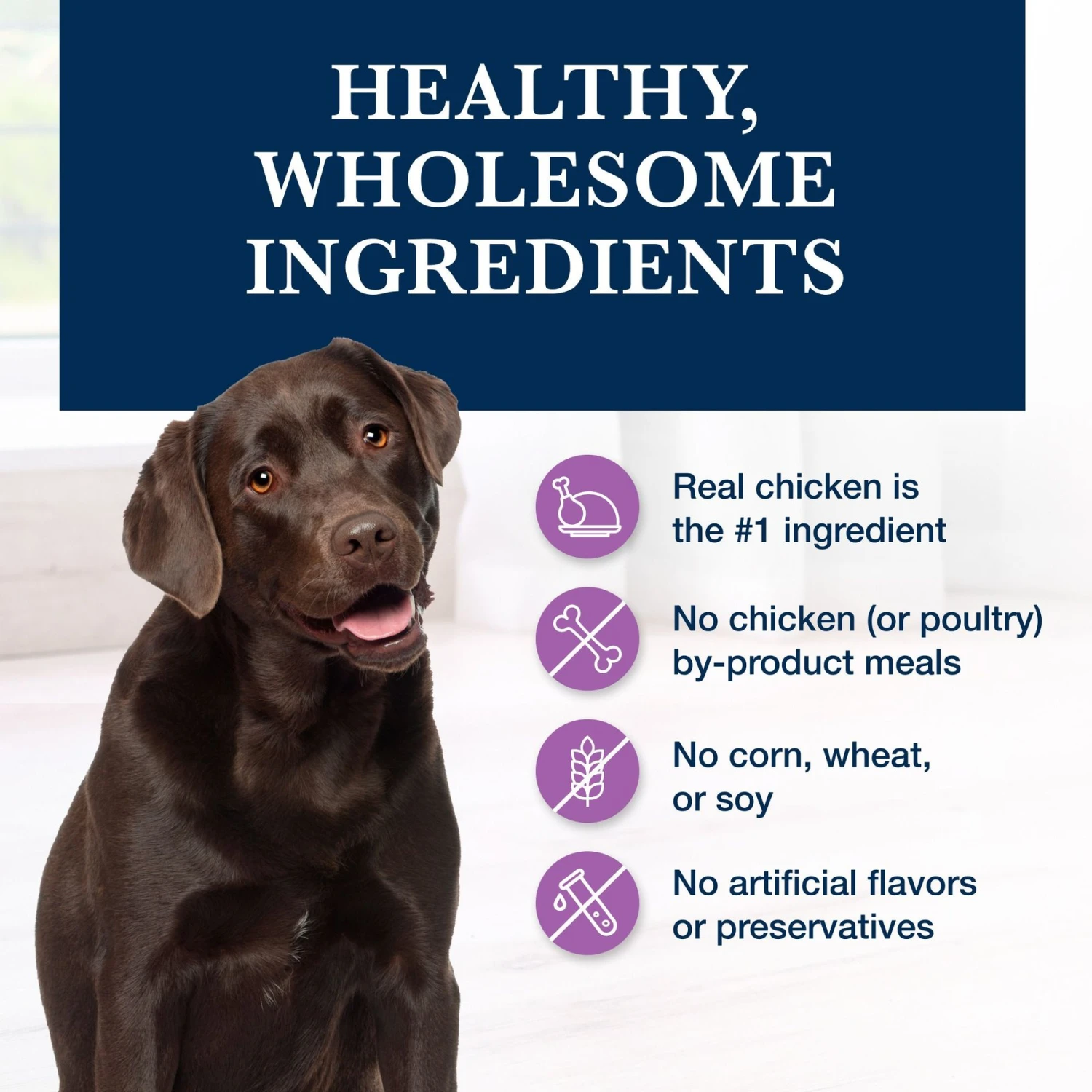 Blue Buffalo Natural Veterinary Diet W+U Weight Management + Urinary Care Chicken Wet Dog Food 8 Blue Buffalo Natural Veterinary Diet W+U Weight Management + Urinary Care Chicken Wet Dog Food - Image 6