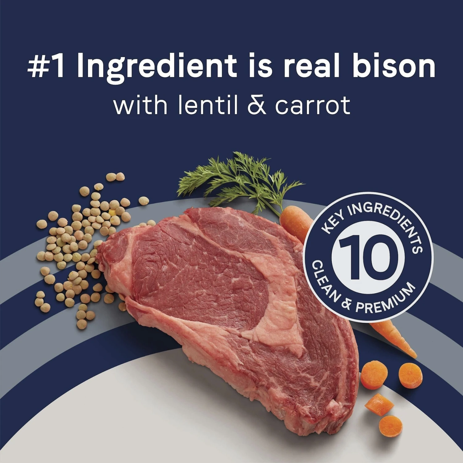 CANIDAE Grain-Free PURE Limited Ingredient Bison, Lentil & Carrot Recipe Dry Dog Food 6 CANIDAE Grain-Free PURE Limited Ingredient Bison, Lentil & Carrot Recipe Dry Dog Food - Image 4