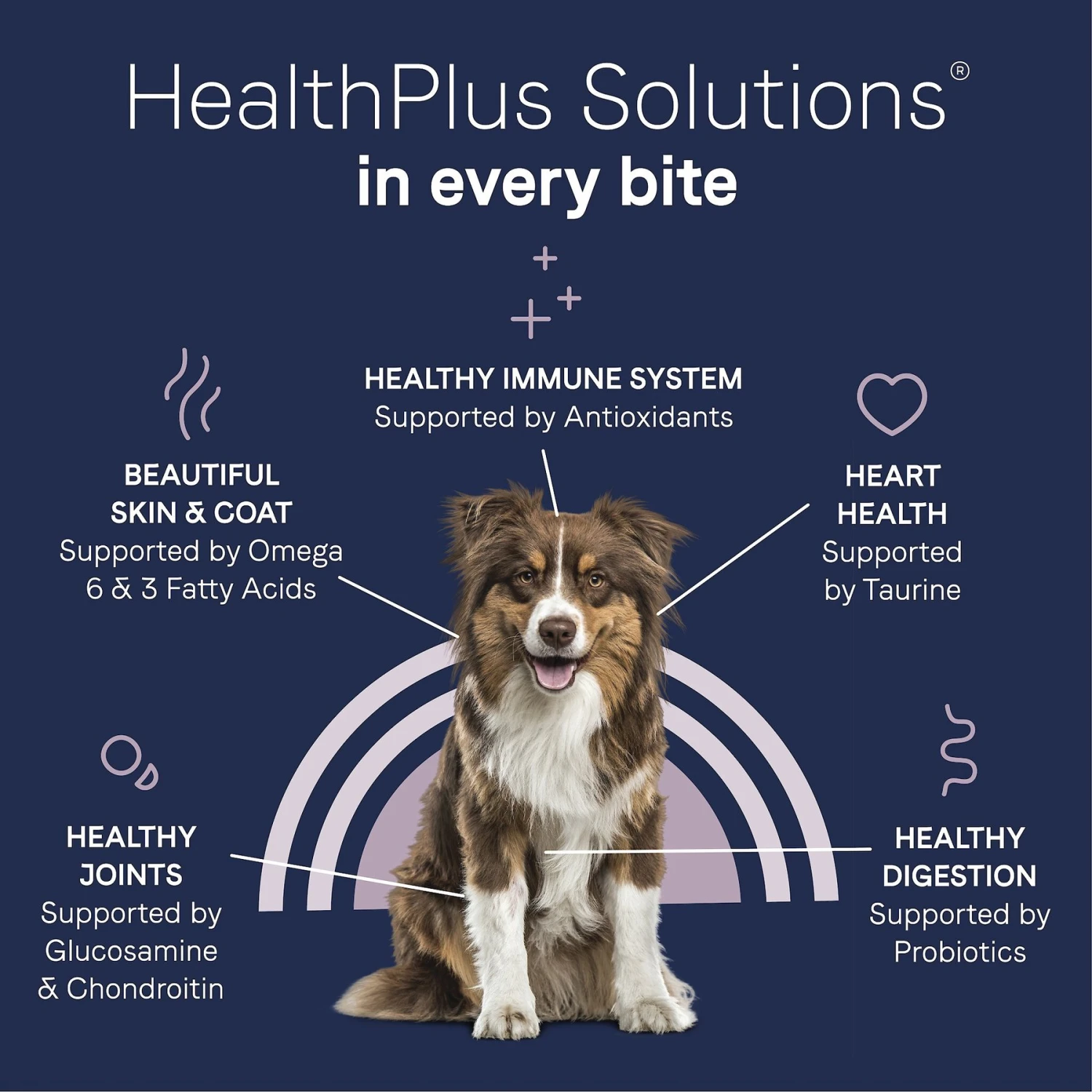 CANIDAE Grain-Free PURE Limited Ingredient Bison, Lentil & Carrot Recipe Dry Dog Food 9 CANIDAE Grain-Free PURE Limited Ingredient Bison, Lentil & Carrot Recipe Dry Dog Food - Image 7