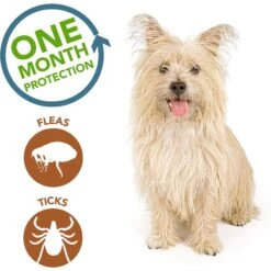Vet's Best Flea & Tick Spot Treatment For Dogs, Under 15 Lbs 11 Vet's Best Flea & Tick Spot Treatment For Dogs, Under 15 Lbs -Snuggle Paws 150171 PT4. AC SS1800 V1532987832