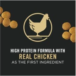 Purina Pro Plan Adult Large Breed Chicken & Rice Formula Dry Dog Food -Snuggle Paws 151474 PT2. AC SS1800 V1657910691