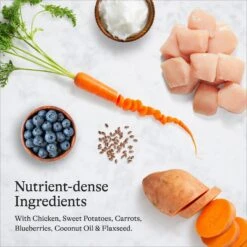 American Journey Senior Chicken & Sweet Potato Recipe Grain-Free Dry Dog Food 16 American Journey Senior Chicken & Sweet Potato Recipe Grain-Free Dry Dog Food -Snuggle Paws 151814 PT5. AC SS1800 V1680545524