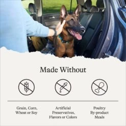 American Journey Senior Chicken & Sweet Potato Recipe Grain-Free Dry Dog Food 17 American Journey Senior Chicken & Sweet Potato Recipe Grain-Free Dry Dog Food -Snuggle Paws 151814 PT6. AC SS1800 V1680545524