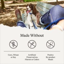 American Journey Protein & Grains Healthy Weight Chicken, Brown Rice & Vegetables Recipe Dry Dog Food -Snuggle Paws 151824 PT6. AC SS1800 V1680624916