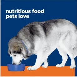 Hill's Prescription Diet C/d Multicare + Metabolic, Urinary + Weight Care Chicken Flavor Dry Dog Food -Snuggle Paws 152409 PT6. AC SS1800 V1675784742