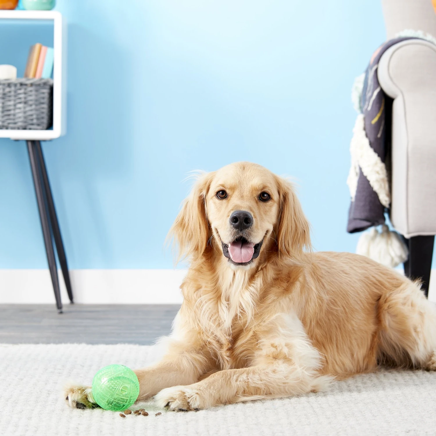 Ethical Pet Dura Brite Treat Dispenser Ball Dog Toy, Color Varies 5 Ethical Pet Dura Brite Treat Dispenser Ball Dog Toy, Color Varies - Image 3