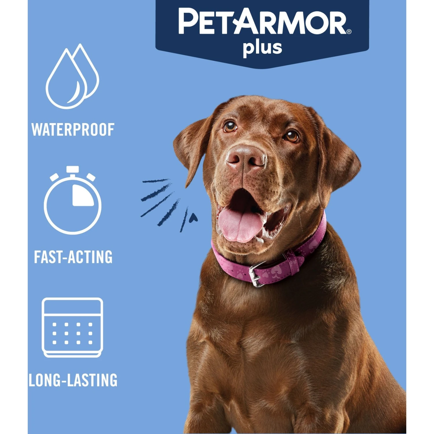PetArmor Plus Flea & Tick Spot Treatment For Dogs, 45-88 Lbs 5 PetArmor Plus Flea & Tick Spot Treatment For Dogs, 45-88 Lbs - Image 3