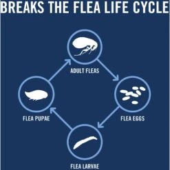 PetArmor Plus Flea & Tick Spot Treatment For Dogs, 45-88 Lbs 15 PetArmor Plus Flea & Tick Spot Treatment For Dogs, 45-88 Lbs -Snuggle Paws 154772 PT4. AC SS1800 V1701361431